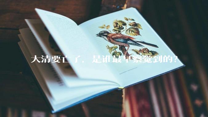大清要亡了，是谁最早察觉到的？