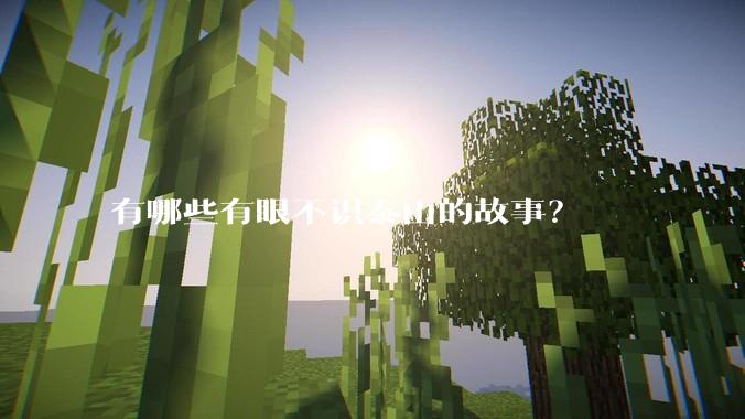 有哪些有眼不识泰山的故事？